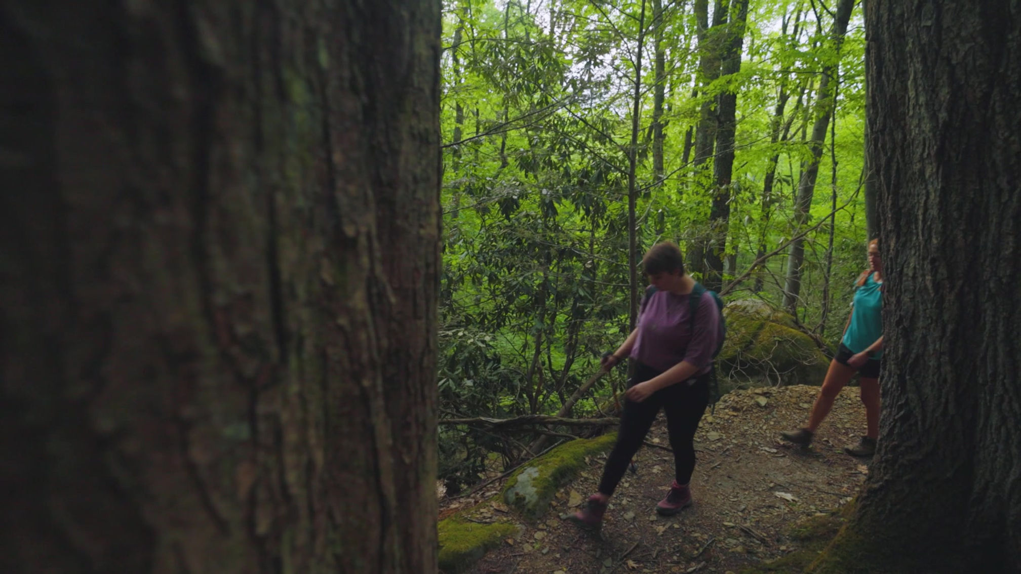 Recreate Responsibly in the High Knob Region